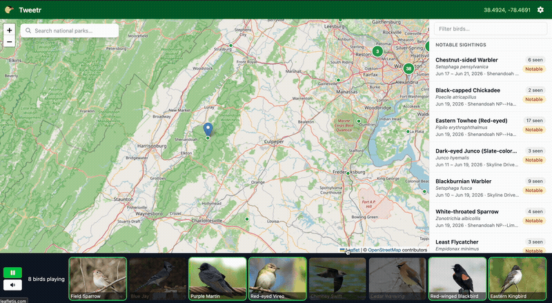 Bird Details Panel